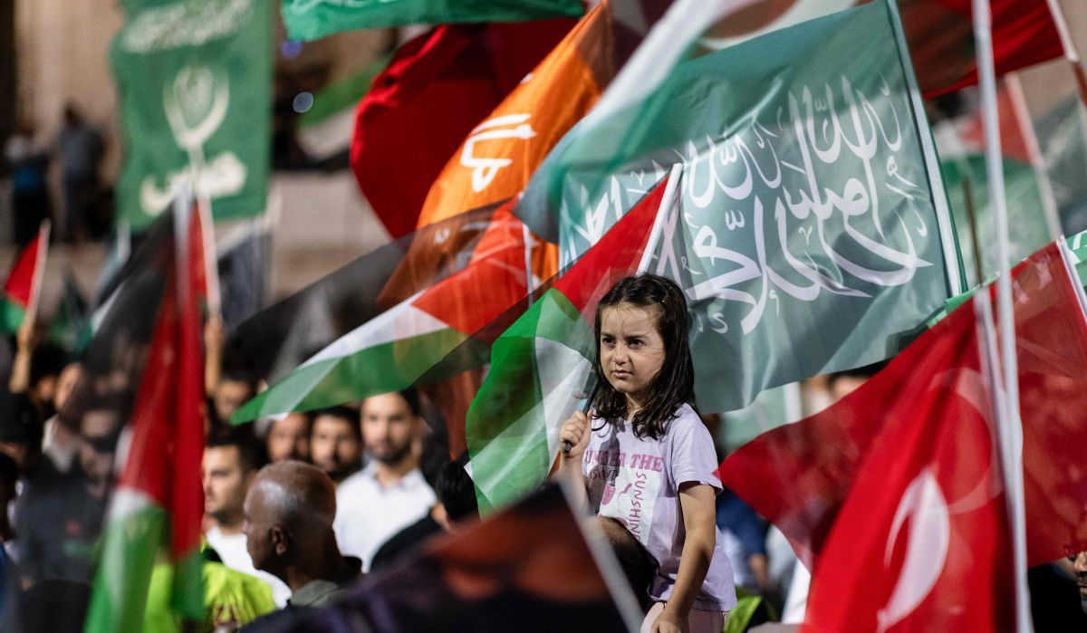 Pro-Palestinian demonstrators